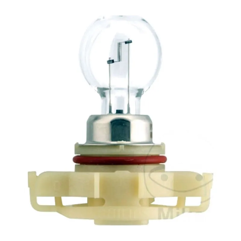 Ampoule 12V 24W PG20/7