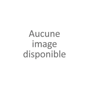 Lot de 5 slips denim blue femme