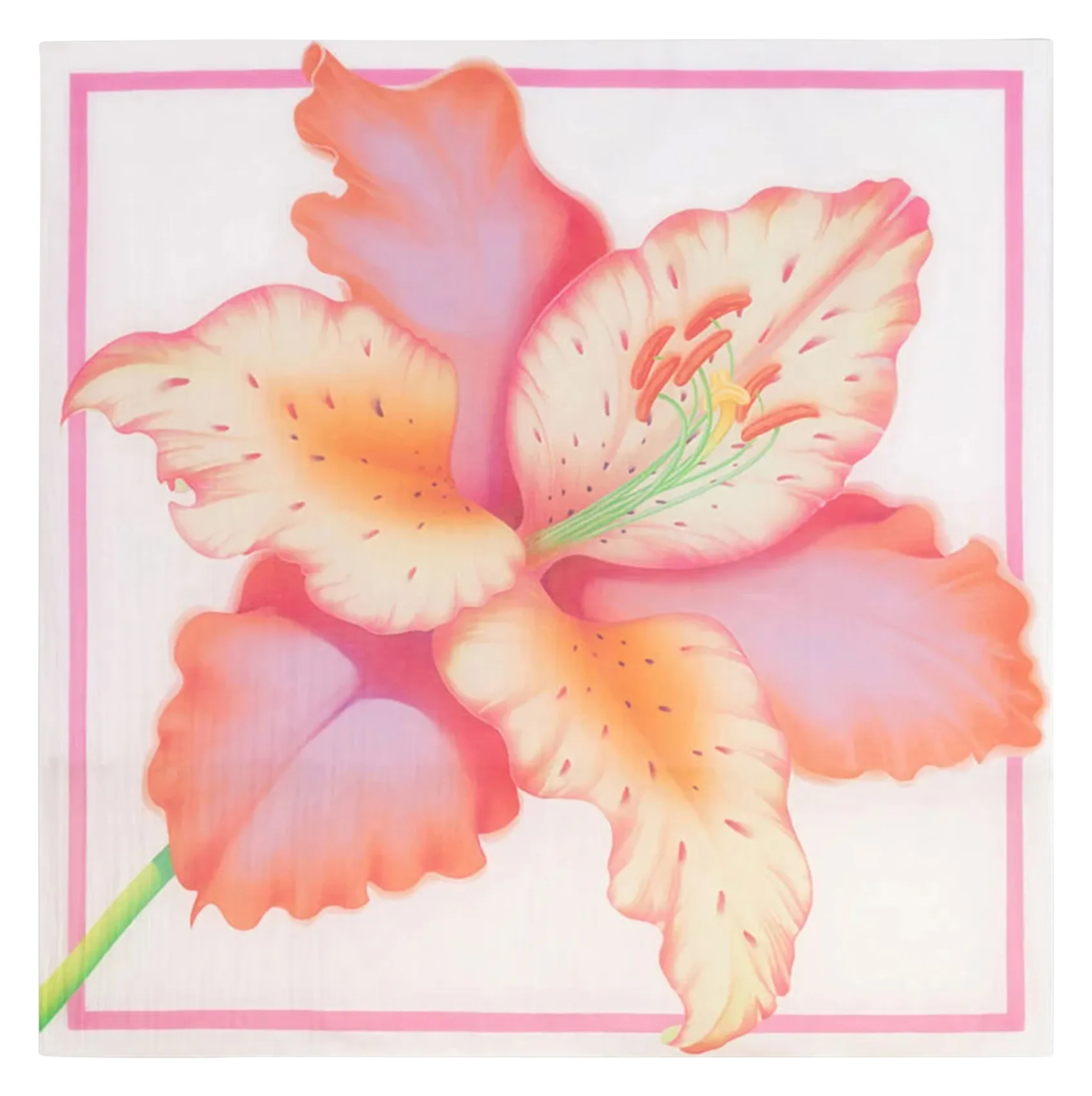 MAJE  Paréo imprimé fleur en voile de coton - Rose